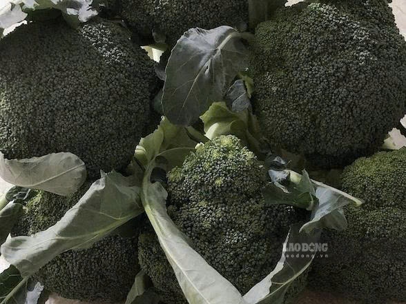 Broccoli is also a good choice to help reduce fatty liver. Photo: Kieu Vu