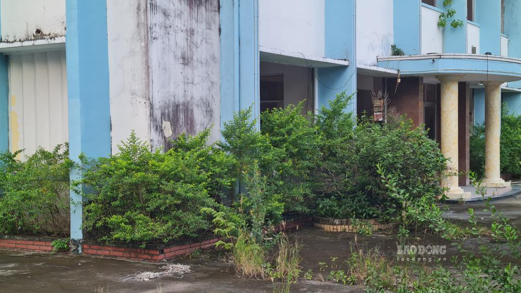 The current status of the old Bac Lieu City People's Committee headquarters is valued for lease by the Ca Mau Land Fund Development Center at 1,958,188 VND/m2/year. Photo: Nhat Ho.