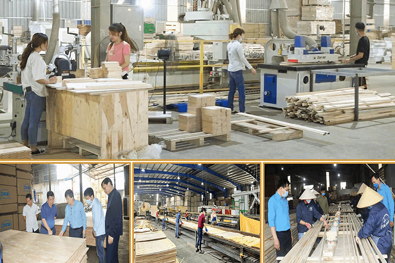 Toàn tỉnh Lào Cai hiện có 708 cơ sở chế biến lâm sản đang hoạt động, gồm 597 cơ sở chế biến gỗ, 72 cơ sở chế biến quế và 39 cơ sở lâm sản ngoài gỗ. Ảnh: Cổng TTĐT tỉnh Lào Cai