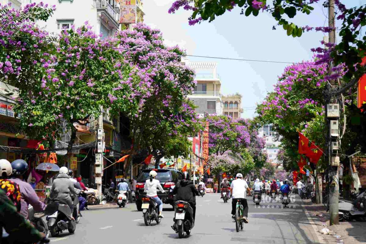 Hai Phong bans the road section from Cau Dat - Lach Tray intersection to Hai Ba Trung - Cau Dat intersection during the bomb disposal period. Photo: Mai Dung