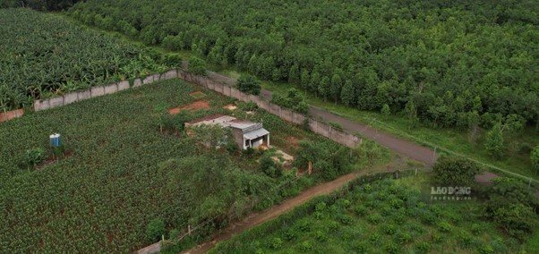Hạ tầng điện sơ sài, tự phát, mất an toàn tại tổ 1, ấp Bà Rịa, xã Hồ Tràm. Ảnh: Hà Nam