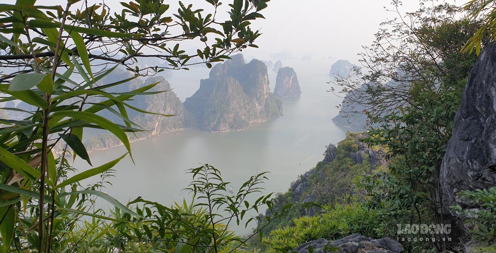 Ha Long Bay seen from the top of Bai Tho mountain. Photo: Nguyen Hung