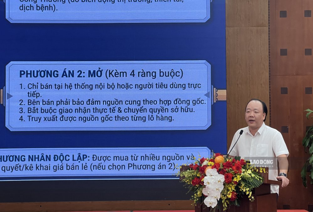 Ông Trần Hữu Linh phát biểu tại Hội nghị lấy ý kiến rộng rãi về dự thảo Nghị định thay thế các nghị định của Chính phủ về kinh doanh xăng dầu. Ảnh: Anh Tuấn