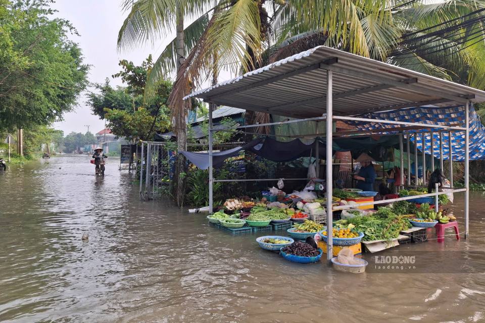 Triều cường dâng cao phủ kín mặt đường tỉnh 923. Ảnh: Tạ Quang (ảnh chụp ngày 15.9)