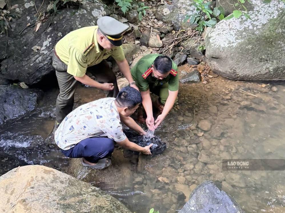 Releasing precious turtles back to nature. Photo: Thuy Anh