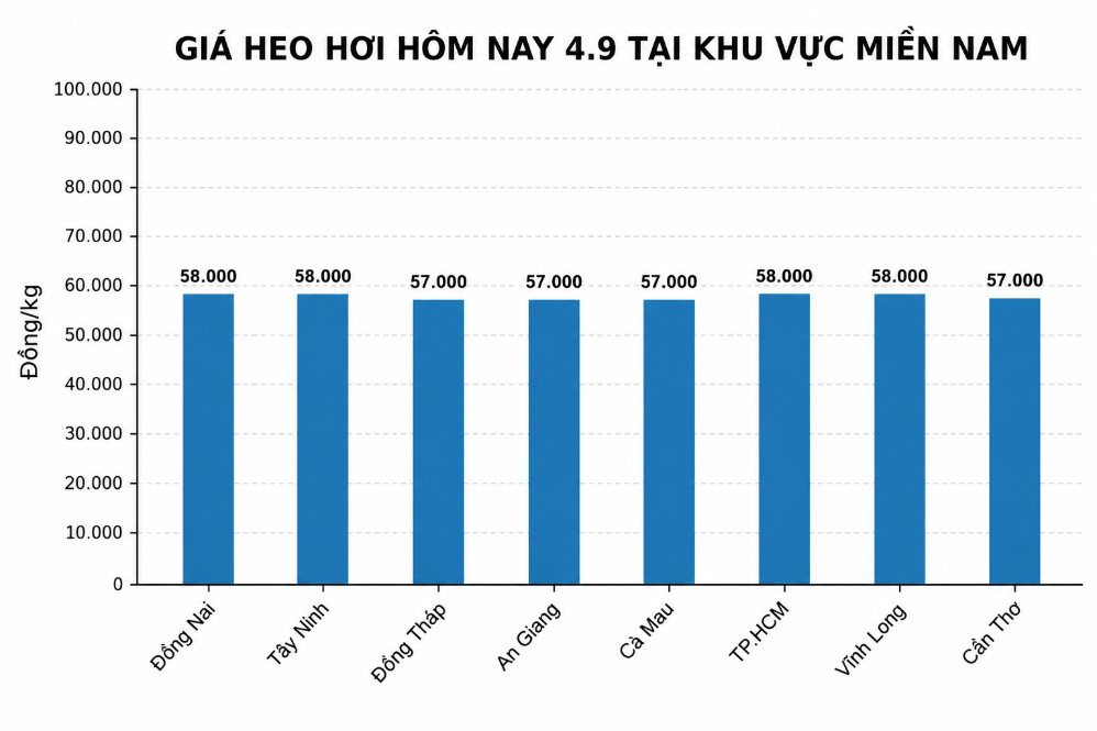 Giá heo hơi ở khu vực miền Nam hôm nay 4.9. Đồ họa: AI