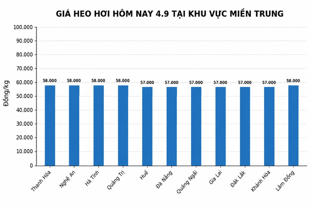 Giá heo hơi ở khu vực miền Trung hôm nay 4.9. Đồ họa: AI