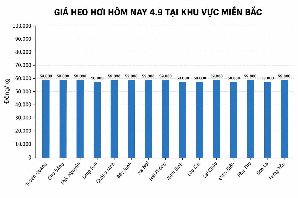 Giá heo hơi ở khu vực miền Bắc hôm nay 4.9. Đồ họa: AI