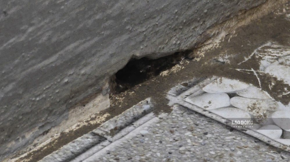 Regularly check the area behind the washing machine and dryer to avoid waterlogging and mold. Photo: Tuan Dat