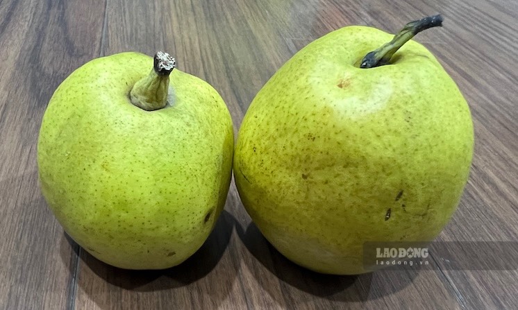 Pears can help control blood sugar when used correctly. Photo: Kieu Vu