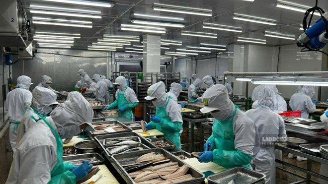 Green standards pave the way for Vietnamese goods to enter the supply chain. Photo: Ha May