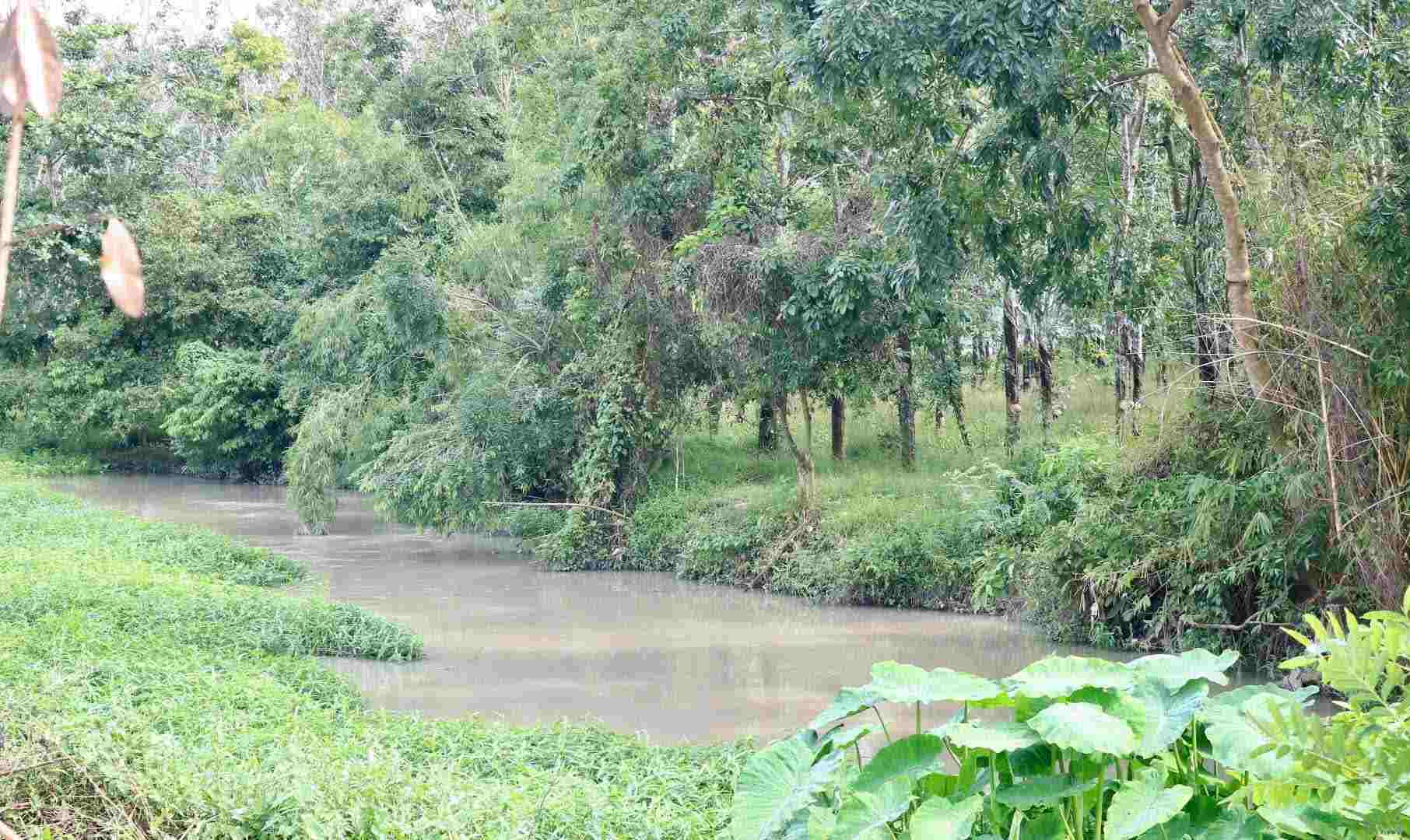 Investing 668 billion VND to renovate Vam Va stream. Photo: Phu Giao Commune People's Committee