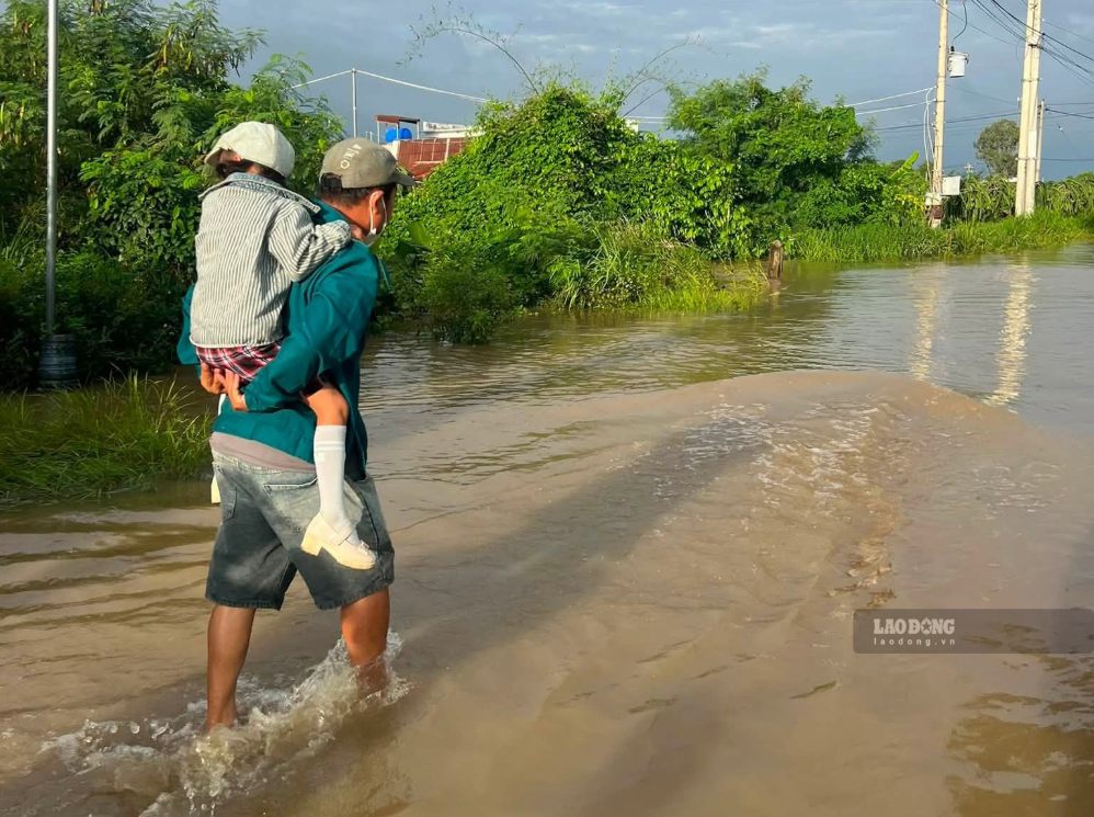 A student is carried across the flooded area in Ham Thanh commune (Lam Dong province) to go to the opening school. Photo: Duy Tuan