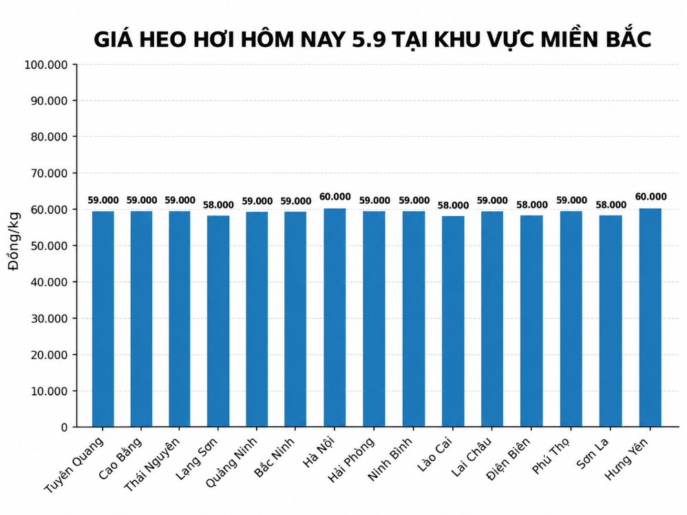 Giá heo hơi hôm nay tại miền Bắc. Đồ họa: AI 