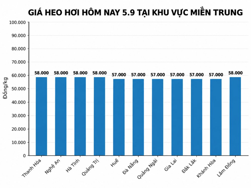 Giá heo hơi hôm nay tại miền Trung. Đồ họa: AI 