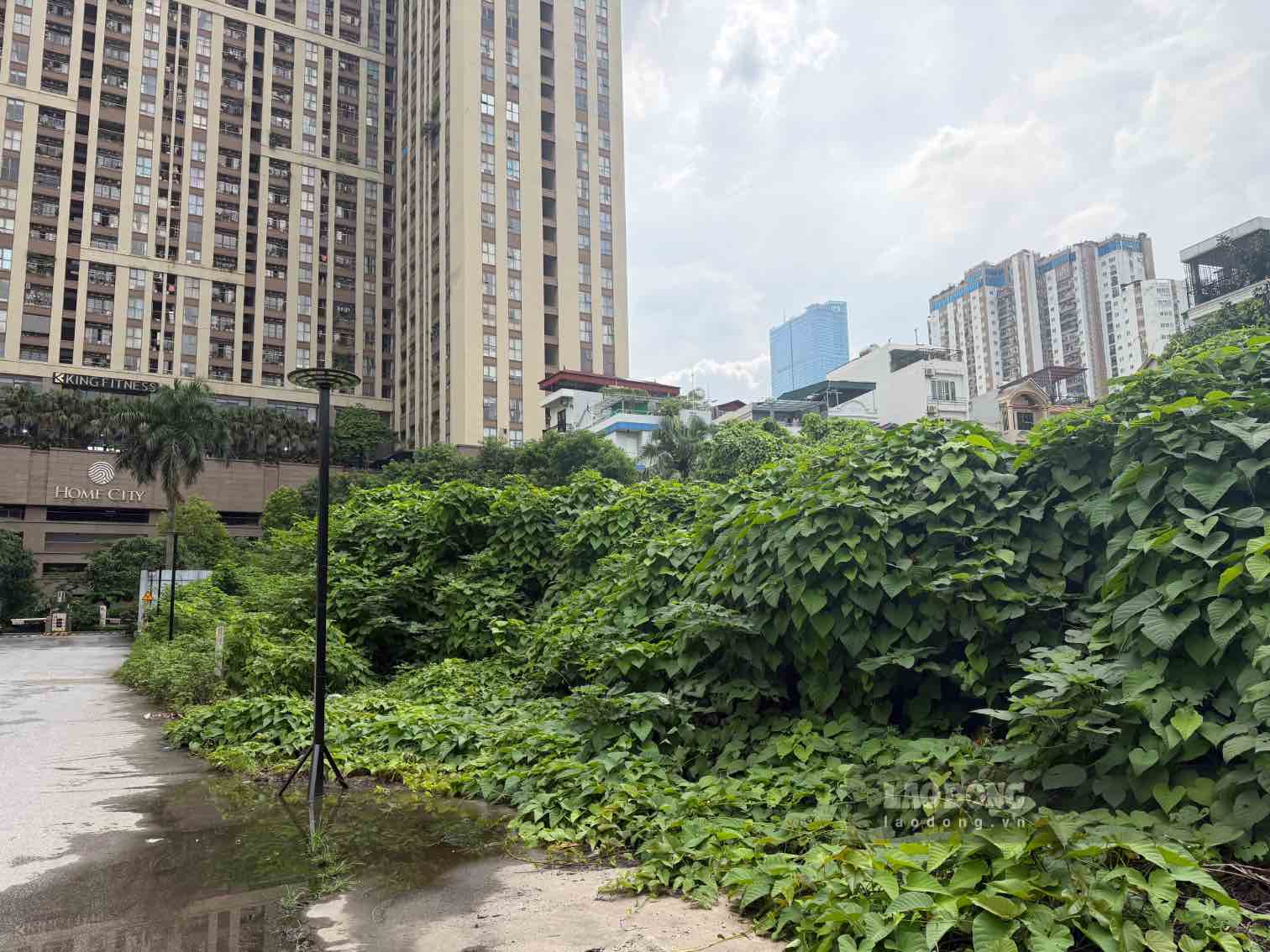 Land area for implementing the primary school project of Van Phu - Trung Kinh Investment Co., Ltd. Photo: Hoai Anh