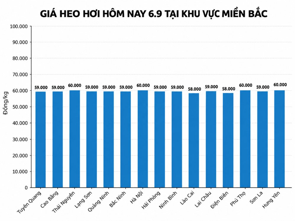 Giá heo hơi hôm nay tại miền Bắc. Đồ họa: AI