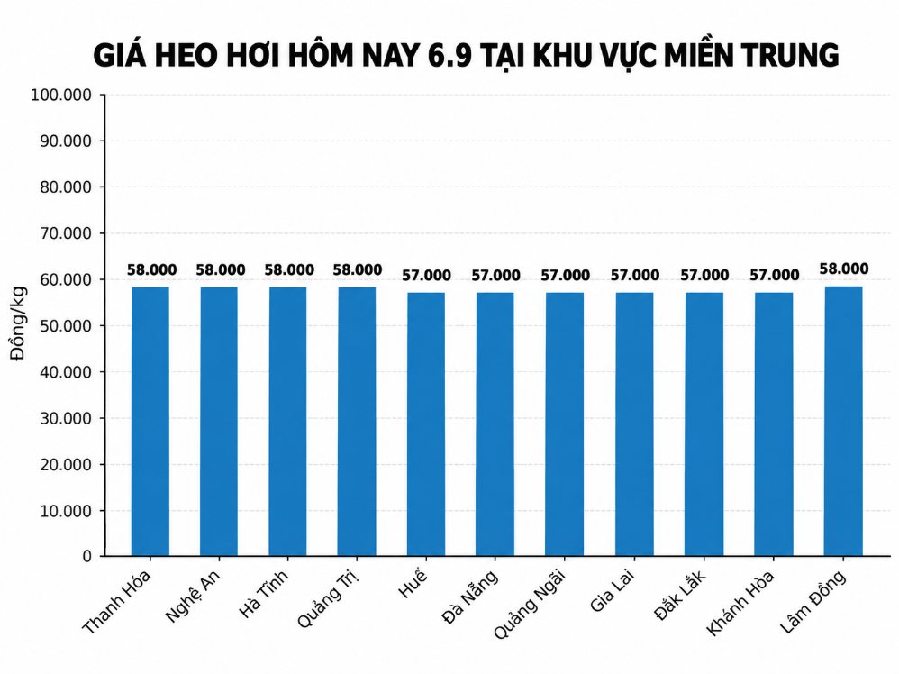 Giá heo hơi hôm nay tại miền Trung. Đồ họa: AI