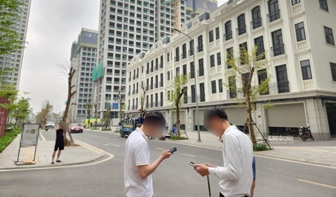 Fines up to 60 million VND for real estate brokers without practicing certificates. Photo: Cao Nguyen