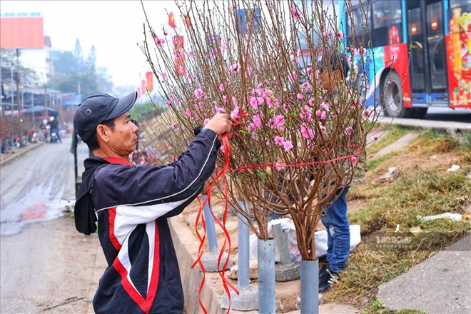 The 7-day holiday plan for the 2027 Lunar New Year received much consensus. Photo: Lan Nhu