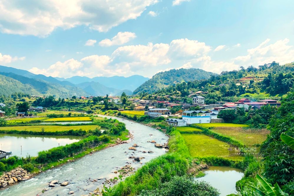Cánh đồng ở xã Ngọc Chiến, tỉnh Sơn La vào mùa lúa chín. Ảnh: Trường Sơn