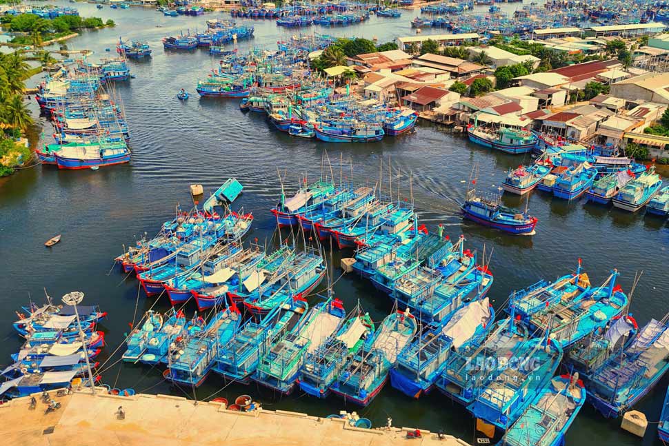Fishing boats anchored at Tam Quan fishing port (Gia Lai). Photo: Tue Lam