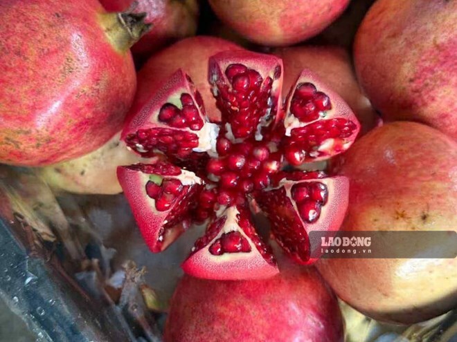 Women after 40 should eat a variety of fruits, prioritizing fresh fruits such as pomegranates. Photo: Tuan Dat