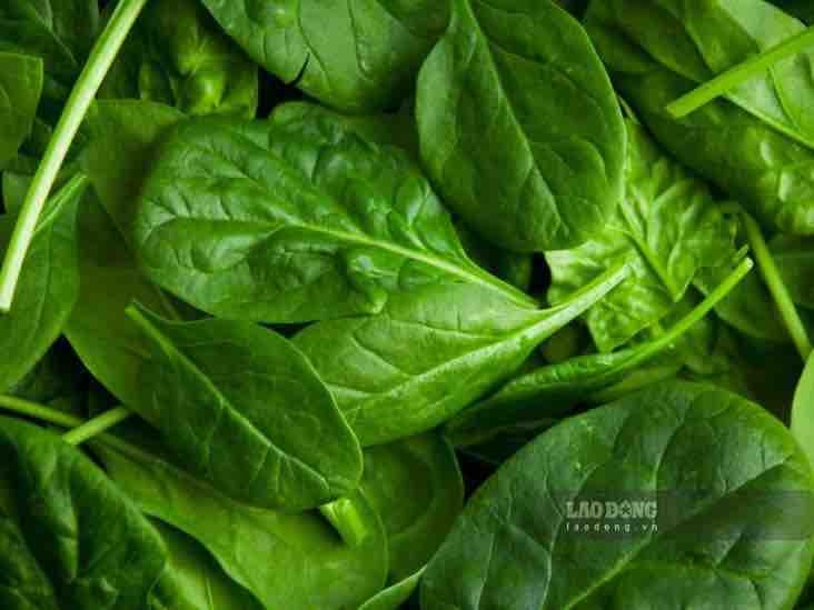 People with high blood pressure can supplement magnesium from green leafy vegetables. Photo: Kieu Vu