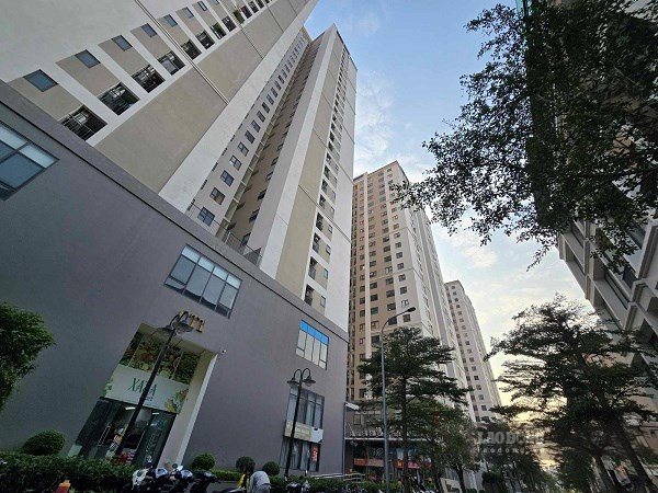 According to Decree 339, the fine for using apartments for non-housing purposes increased more than 3 times, to 100-130 million VND. Photo: Binh Nguyen
