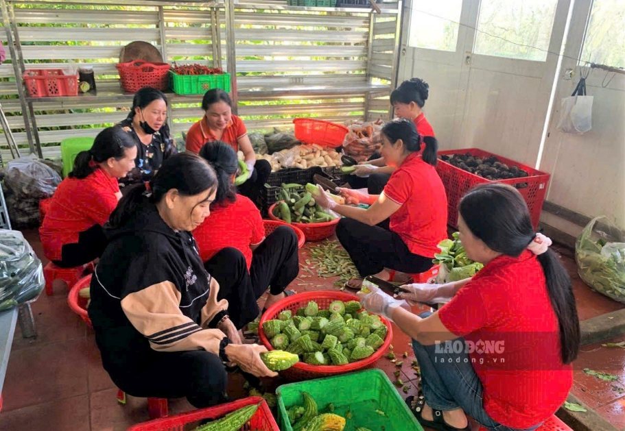 Các tình nguyện viên hỗ trợ Bếp ăn Từ thiện chuẩn bị những suất cơm gửi đến bệnh nhân có hoàn cảnh khó khăn. Ảnh: Phúc Khánh