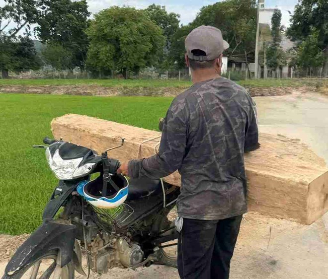 Phát hiện nhiều vụ vận chuyển gỗ không rõ nguồn gốc ở Khánh Hòa