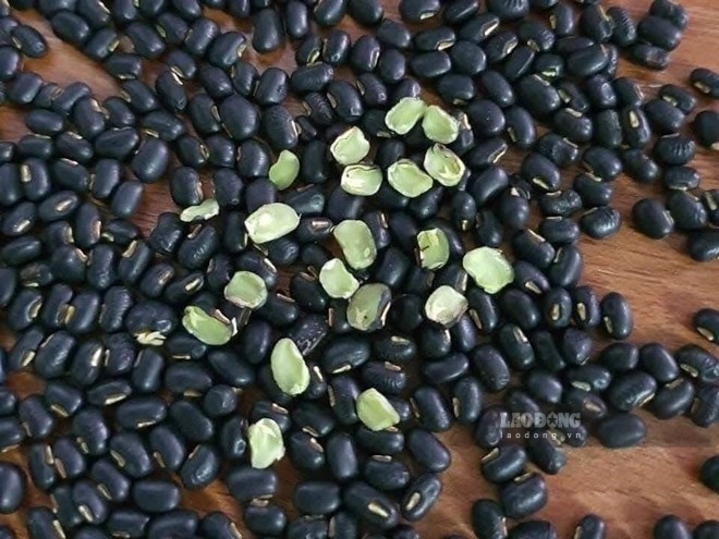 Black beans combined with some dishes such as brown rice and fish are good for blood sugar in people with pre-diabetes. Photo: Quang Minh