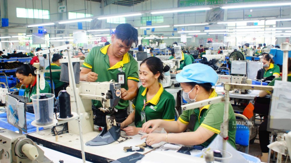 Vinh Long Trade Union promotes coordination in implementing labor law in the period 2026 - 2030. Photo: Hoang Loc