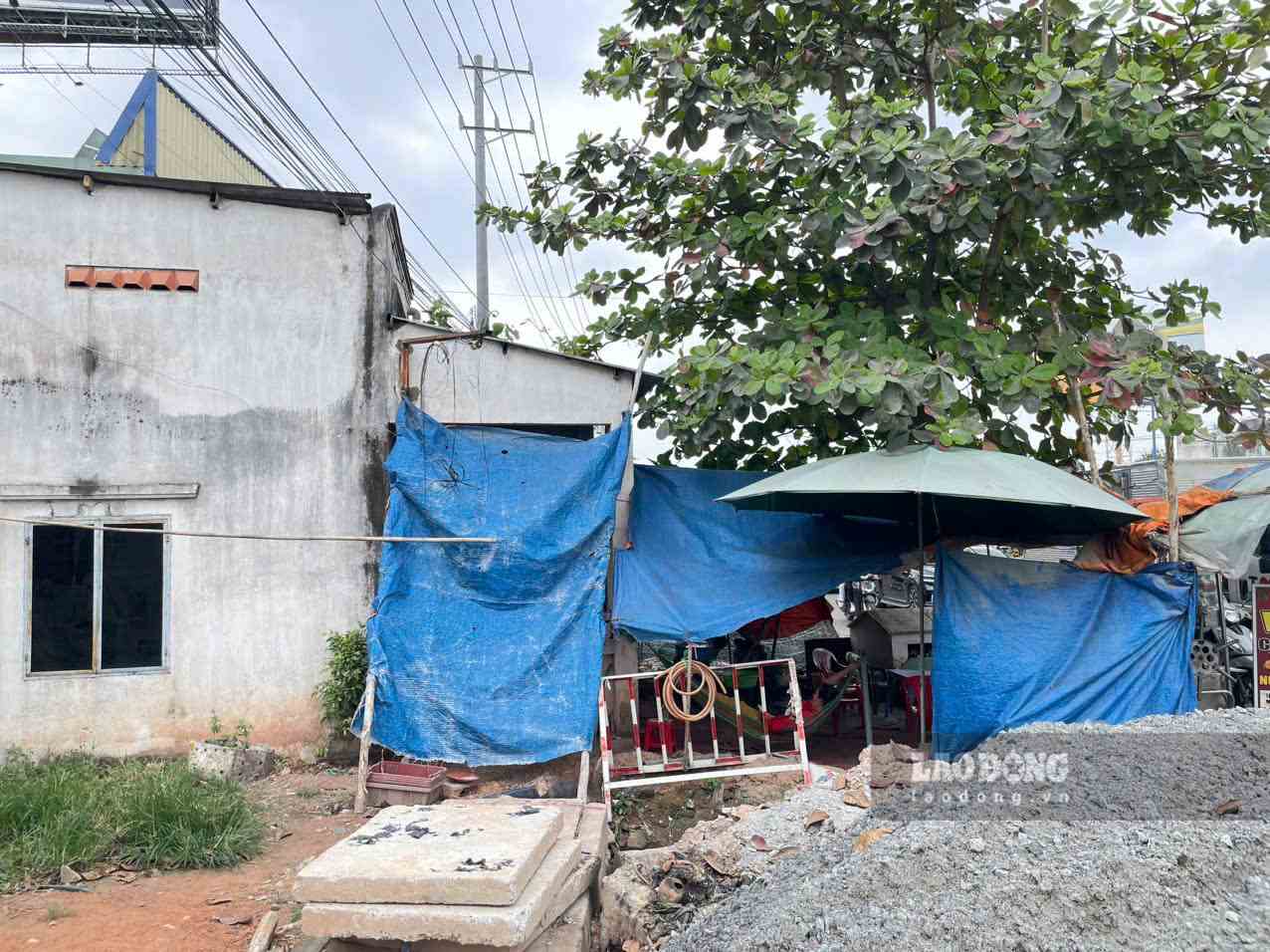 Căn nhà và cây xanh chưa di dời. Ảnh: Đình Trọng