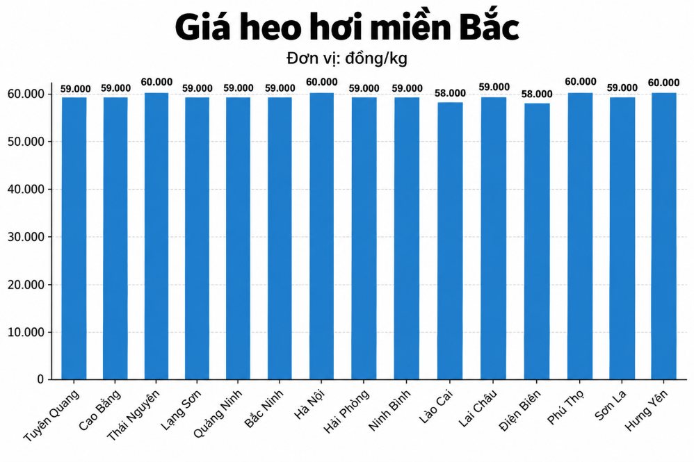Giá heo hơi hôm nay 7.9 tại miền Bắc. Đồ họa: AI