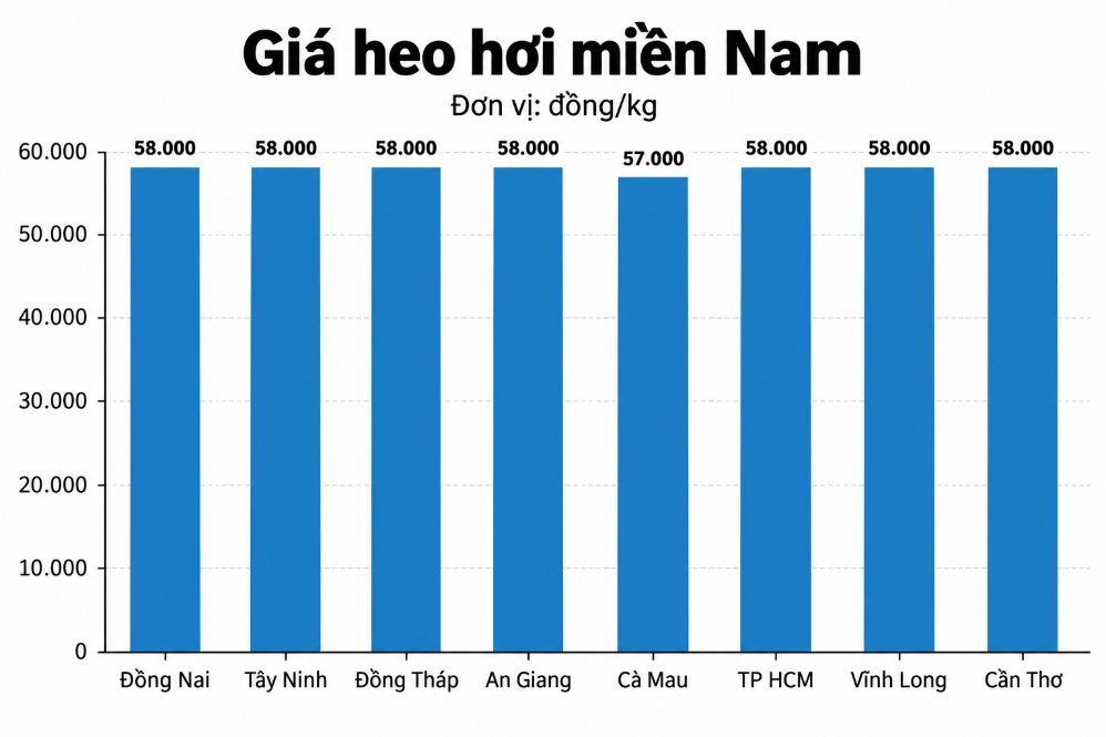 Giá heo hơi hôm nay 7.9 tại miền Nam. Đồ họa: AI