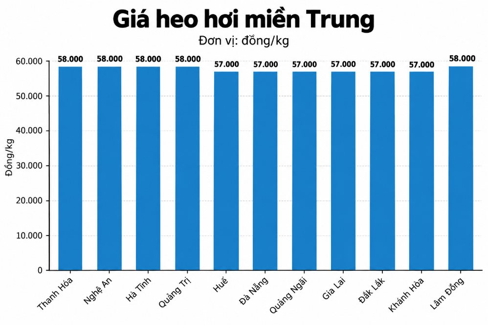 Giá heo hơi hôm nay 7.9 tại miền Trung. Đồ họa: AI