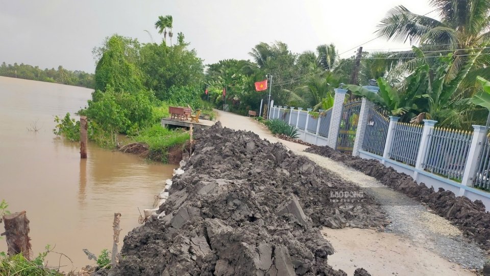 Vĩnh Long ghi nhận 53 vị trí sạt lở với tổng chiều dài 2.230m. Ảnh: Hoàng Lộc