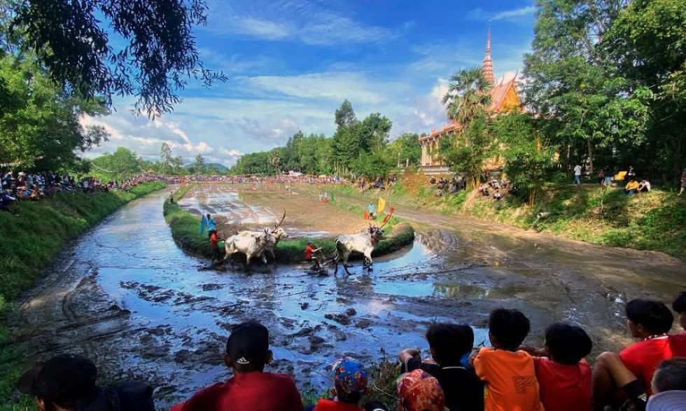 Đua bò ở Chùa Rô, xã An Cư, tỉnh An Giang. Ảnh: Nguyễn Nhậm