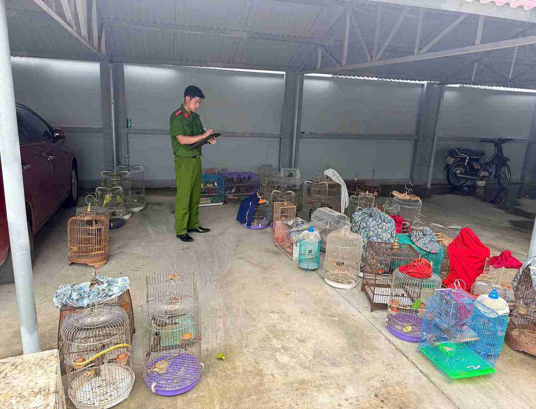 Cán bộ Công an xã Tiền Hải kiểm tra các cá thể chim hoang dã thu giữ được. Ảnh: Công an tỉnh Hưng Yên

