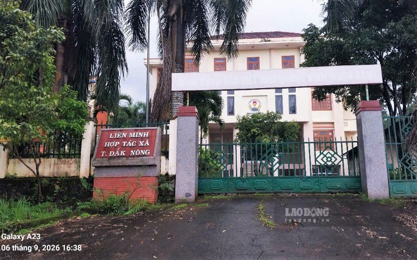 Lam Dong announces lease of 27 redundant headquarters. Photo: Phuc Khanh