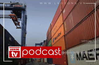 Digital logistics transformation, from individual platforms to connecting ecosystems