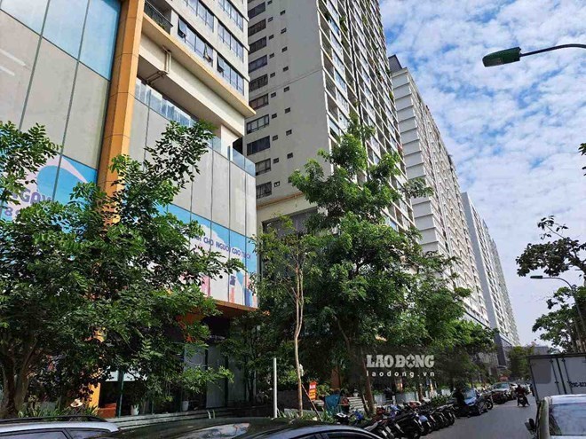 House prices are difficult to decrease, investors offer discounts of up to 10% to stimulate demand. Photo: Binh Nguyen (taken in September 2025)