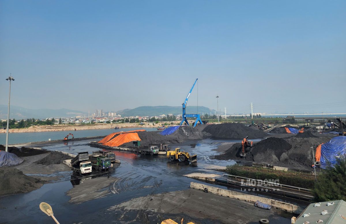 Bãi tập kết than ở cảng Quang Trung (