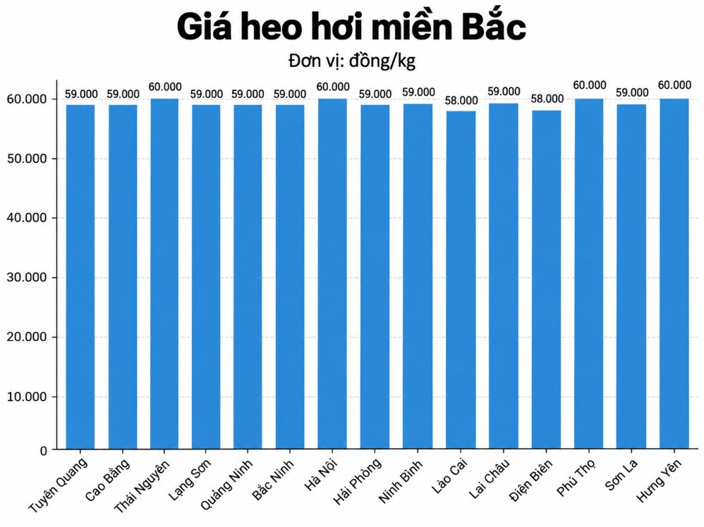 Giá heo hơi hôm nay 8.9 ở khu vực miền Bắc. Đồ họa: AI 
