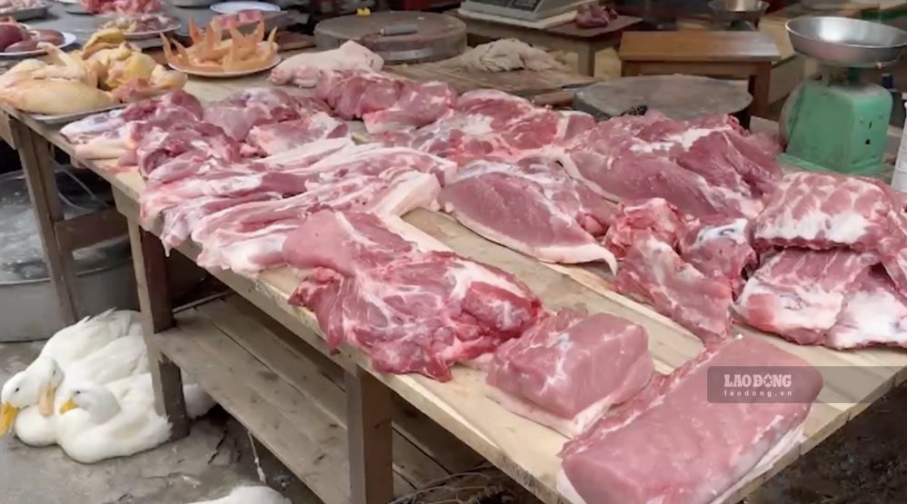 Live hog prices today are generally still stable. Photo: Thuy Linh