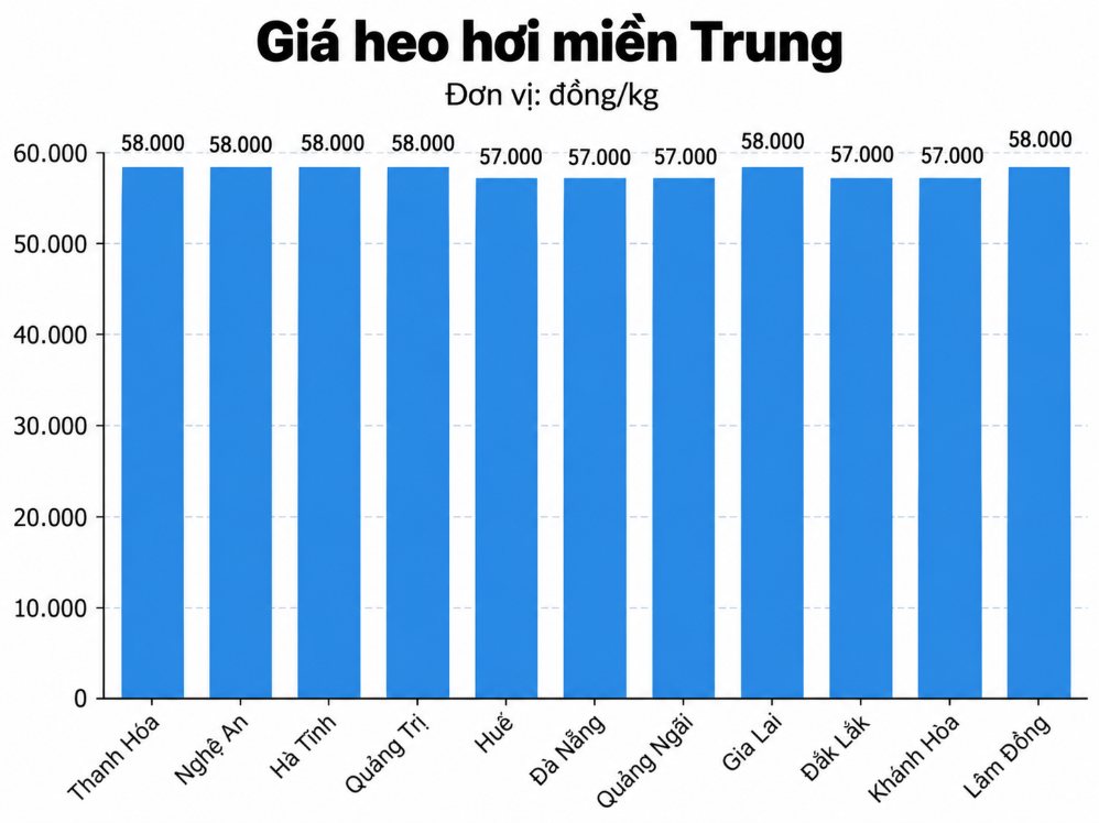 Giá heo hơi hôm nay 8.9 ở khu vực miền Trung. Đồ họa: AI 