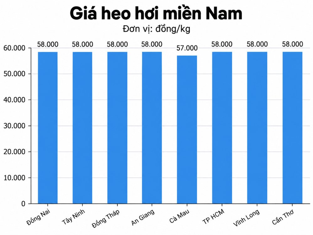 Giá heo hơi hôm nay 8.9 ở khu vực miền Nam. Đồ họa: AI 