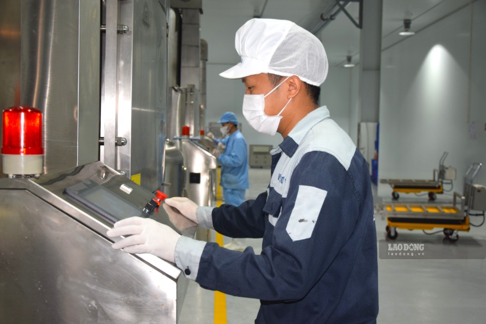 Công nhân vận hành máy sấy rau củ tại nhà máy chế biến thực phẩm VFI Sơn La, tại Khu công nghiệp Mai Sơn. Ảnh: Trường Sơn (chụp ngày 30.8.2026)