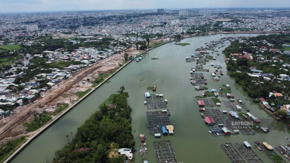 Theo UBND TP Đồng Nai, nghề nuôi cá lồng bè trên các tuyến sông thuộc khu vực phường Trấn Biên và phường Long Hưng được hình thành từ nhiều năm trước, tuy nhiên theo thời gian số lượng lồng, bè phát triển nhanh và chủ yếu mang tính tự phát dẫn đến tình trạng nuôi tập trung quá nhiều bè, lồng trong một diện tích nhỏ tại một số khu vực làm hạn chế dòng chảy, giảm khả năng tự làm sạch của môi trường nước dẫn đến tích tụ chất thải nguy cơ gây ô nhiễm môi trường cục bộ. Ảnh: HAC